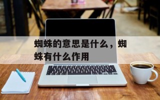 蜘蛛的意思是什么，蜘蛛有什么作用