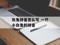 灰兔拼音怎么写 一只小白兔的拼音