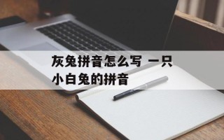 灰兔拼音怎么写 一只小白兔的拼音