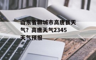 山东省聊城市高唐县天气？高唐天气2345天气预报