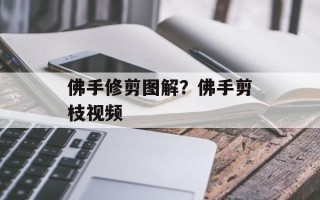 佛手修剪图解？佛手剪枝视频