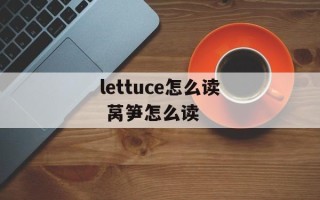 lettuce怎么读 莴笋怎么读