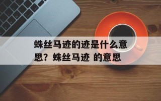 蛛丝马迹的迹是什么意思？蛛丝马迹 的意思
