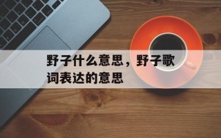 野子什么意思，野子歌词表达的意思