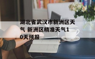 湖北省武汉市新洲区天气 新洲区精准天气10天预报