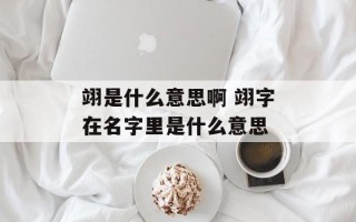 翊是什么意思啊 翊字在名字里是什么意思