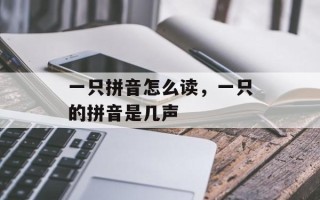 一只拼音怎么读，一只的拼音是几声