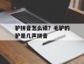 驴拼音怎么读？毛驴的驴是几声拼音