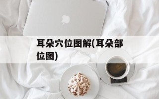 耳朵穴位图解(耳朵部位图)