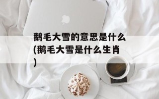 鹅毛大雪的意思是什么(鹅毛大雪是什么生肖)