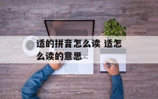 适的拼音怎么读 适怎么读的意思