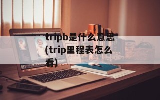 tripb是什么意思(trip里程表怎么看)