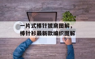 一片式棒针披肩图解，棒针衫最新款编织图解