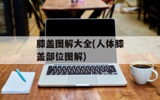 膝盖图解大全(人体膝盖部位图解)