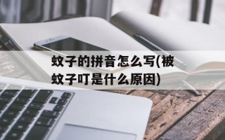 蚊子的拼音怎么写(被蚊子叮是什么原因)