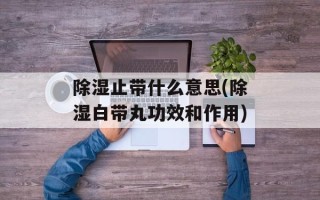 除湿止带什么意思(除湿白带丸功效和作用)