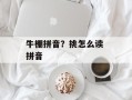牛棚拼音？挑怎么读 拼音