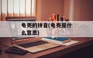 龟壳的拼音(龟壳是什么意思)