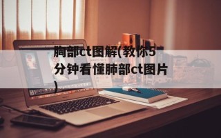 胸部ct图解(教你5分钟看懂肺部ct图片)