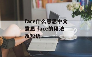 face什么意思中文意思 face的用法及短语