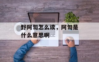 野阿訇怎么读，阿訇是什么意思啊