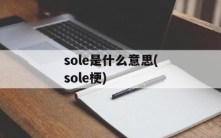 sole是什么意思(sole梗)