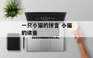 一只小猫的拼音 小猫的读音