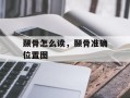颞骨怎么读，颞骨准确位置图