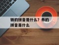 销的拼音是什么？养的拼音是什么