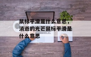 鼠标平滑是什么意思，消逝的光芒鼠标平滑是什么意思