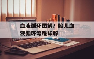 血液循环图解？胎儿血液循环流程详解