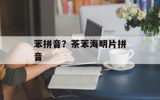 苯拼音？茶苯海明片拼音
