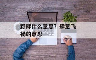 野肆什么意思？肆意飞扬的意思