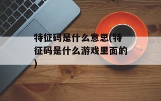 特征码是什么意思(特征码是什么游戏里面的)