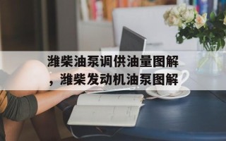 潍柴油泵调供油量图解，潍柴发动机油泵图解