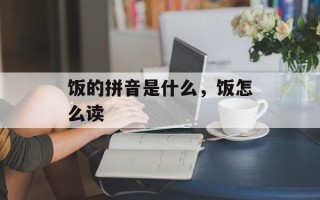 饭的拼音是什么，饭怎么读