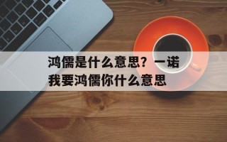 鸿儒是什么意思？一诺我要鸿儒你什么意思