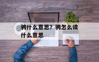 骋什么意思？骋怎么读什么意思