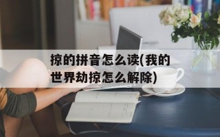 掠的拼音怎么读(我的世界劫掠怎么解除)