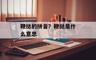 鞭挞的拼音？鞭挞是什么意思