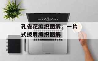 孔雀花编织图解，一片式披肩编织图解