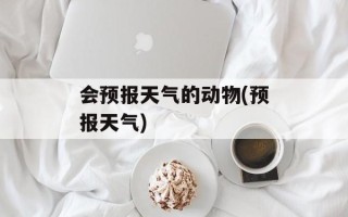 会预报天气的动物(预报天气)