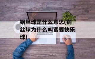 钢丝球是什么意思(钢丝球为什么叫富婆快乐球)