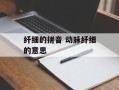 纤细的拼音 动脉纤细的意思