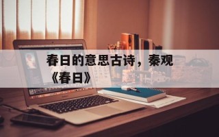 春日的意思古诗，秦观《春日》