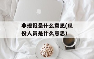 非现役是什么意思(现役人员是什么意思)