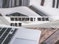 锡箔纸的拼音？锡箔纸的危害