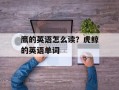 鹰的英语怎么读？虎鲸的英语单词