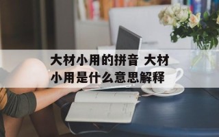 大材小用的拼音 大材小用是什么意思解释