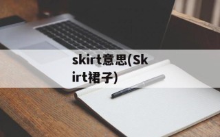 skirt意思(Skirt裙子)